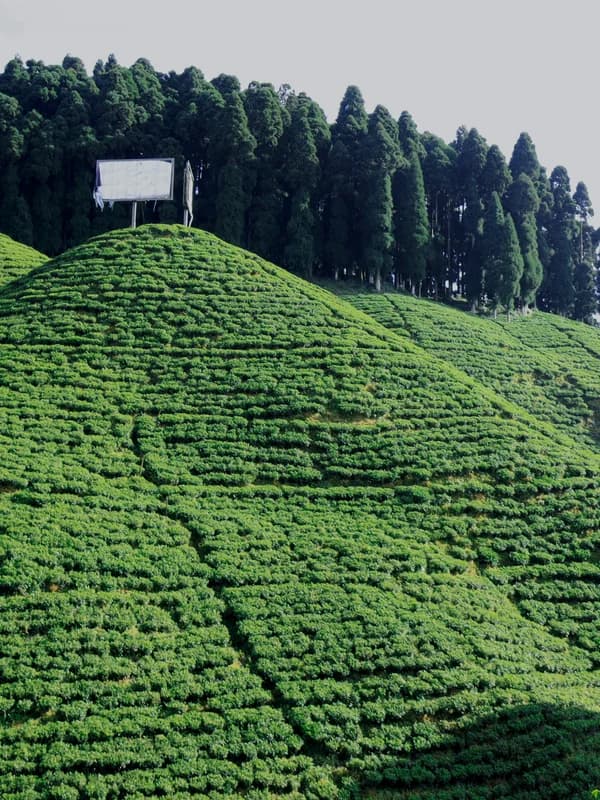 Darjeeling, West Bengal