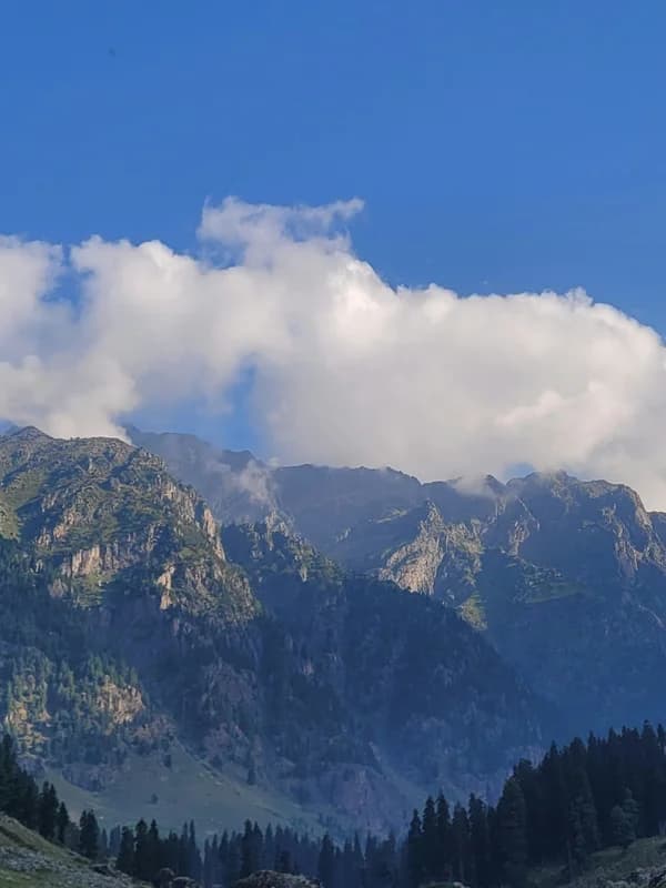 Srinagar, Jammu & Kashmir